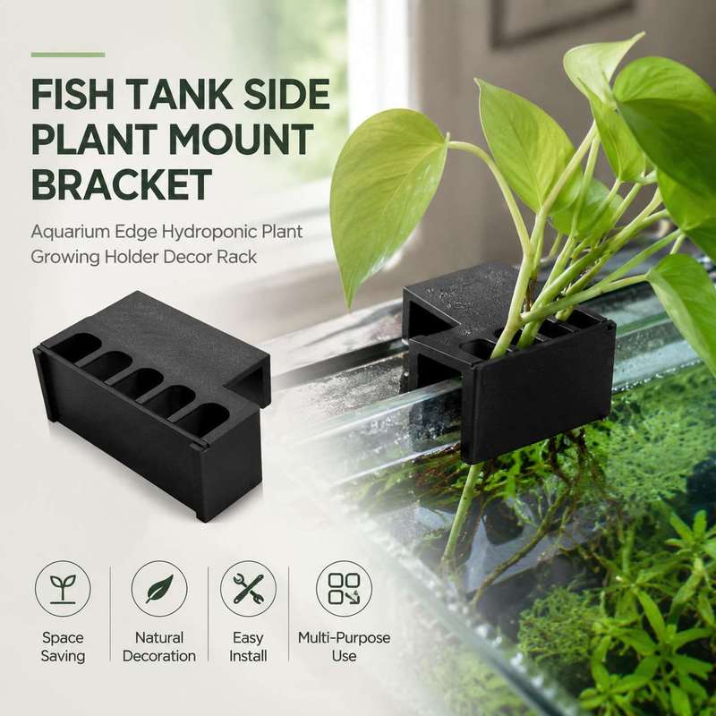 Aquarium Plant Diseases - Кронштейн для крепления растений на боковую