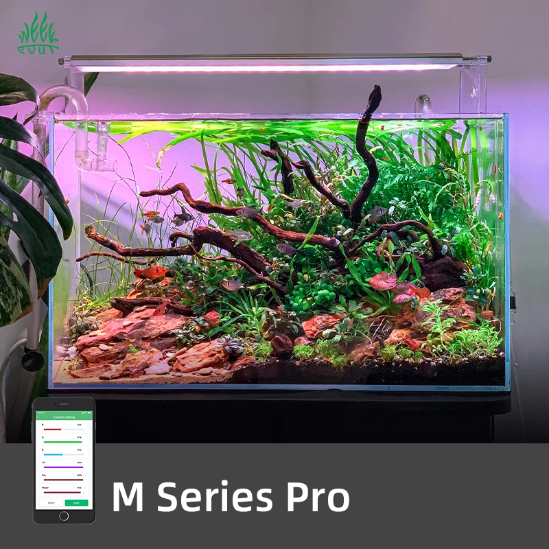Planted Aquarium For Sale - ZXY Хит продаж WEEK AQUA M1200Pro