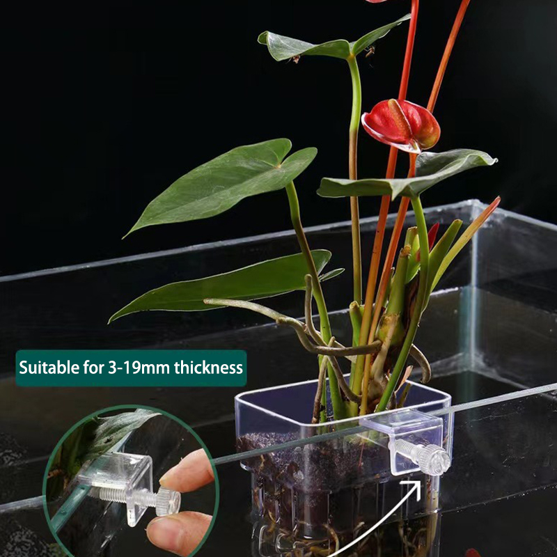 Aquarium Planted Fish - Многофункциональная коробка для изоляции аквариума