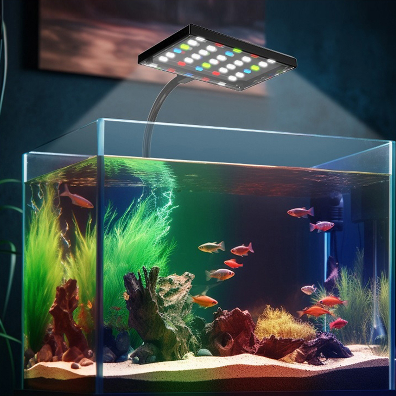 USB-светильник для аквариума с – обзор и цена Aquarium Plant Diseases