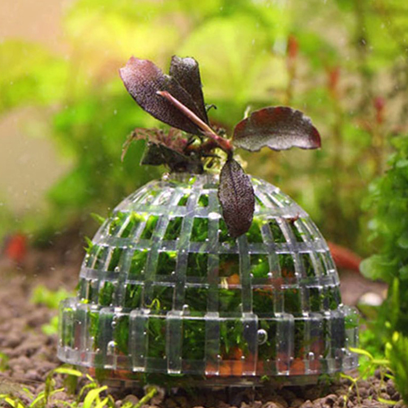 Горячая распродажа: Декорации  – обзор и цена Planted Aquarium For Sale