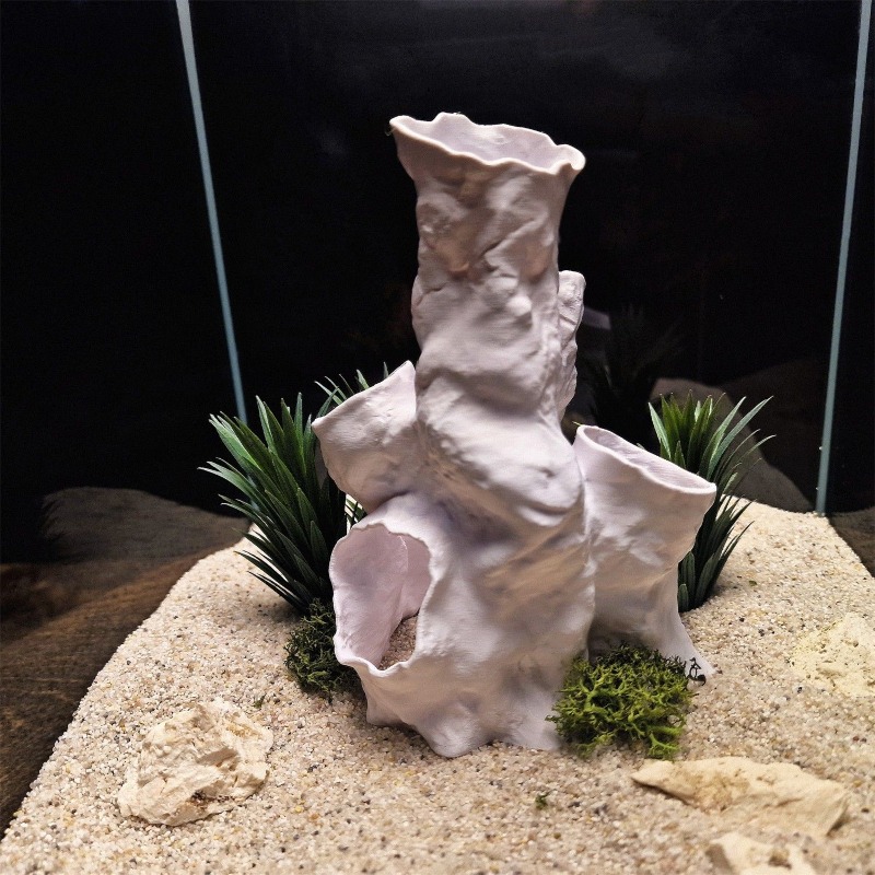 Горячая распродажа: 3D-печатны – обзор и цена Planted Aquarium For Sale