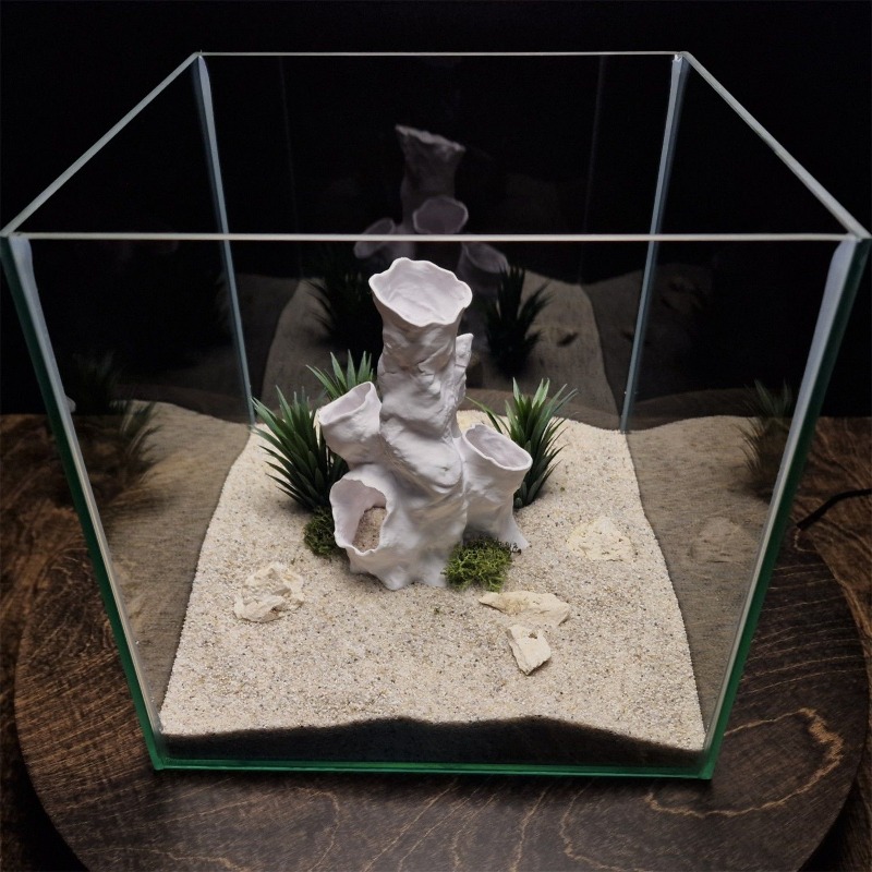 Горячая распродажа: 3D-печатны – обзор и цена Planted Aquarium For Sale