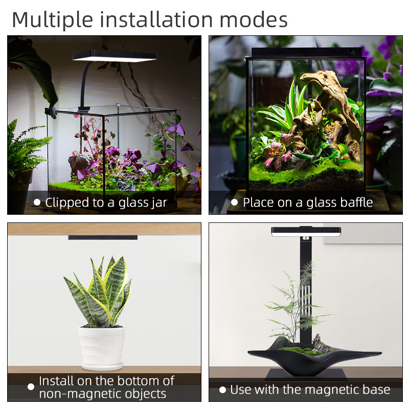 Горячая распродажа: мини-свети – обзор и цена Planted Aquarium For Sale