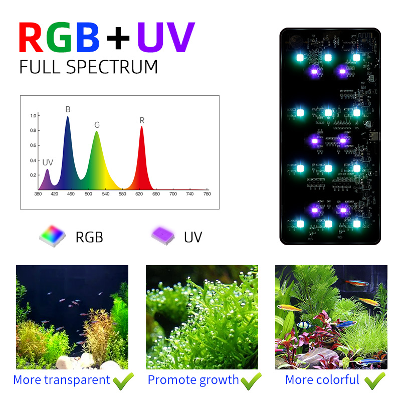 Горячая распродажа: мини-свети – обзор и цена Planted Aquarium For Sale