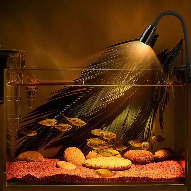 USB-светильник для аквариума,  – обзор и цена Aquarium Plant Diseases