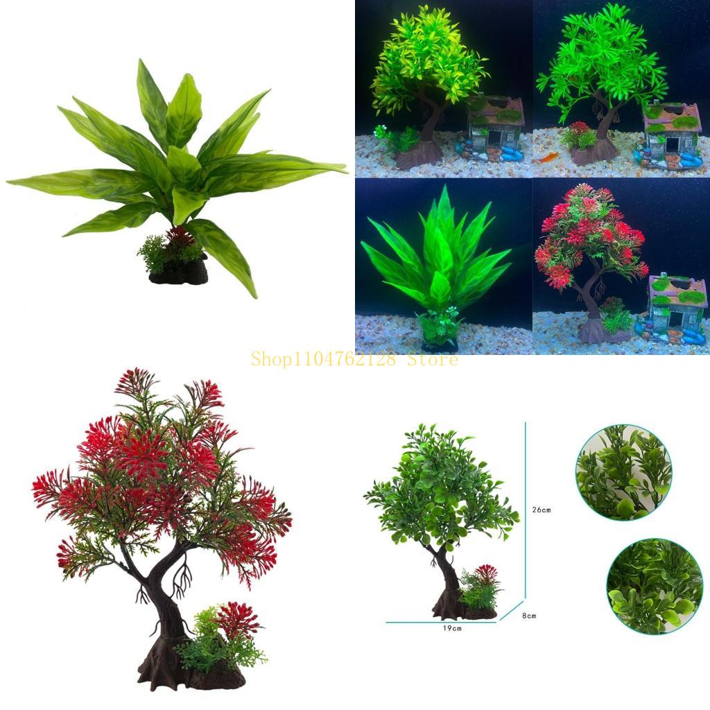 Аквариумные водные растения, п – обзор и цена Planted Aquarium For Sale
