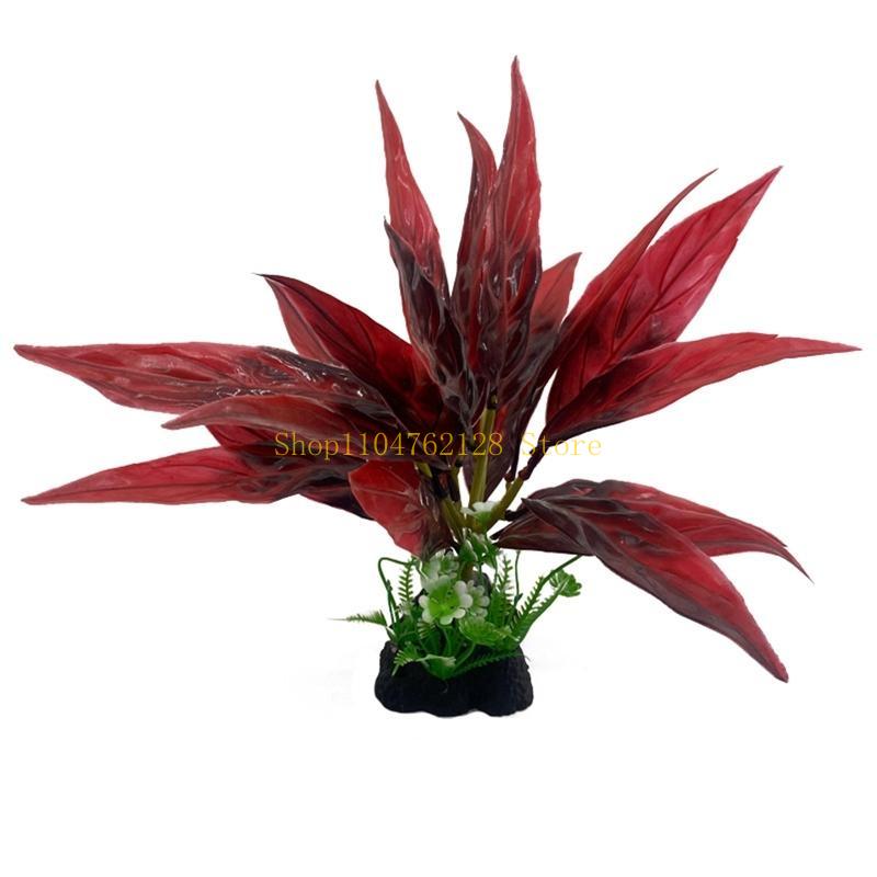 Аквариумные водные растения, п – обзор и цена Planted Aquarium For Sale