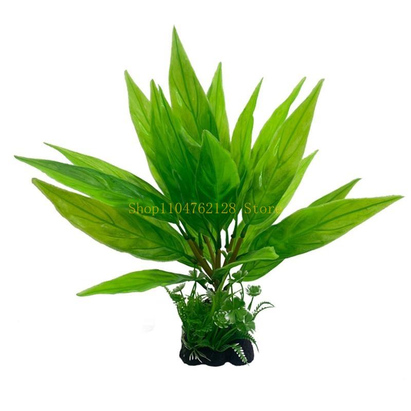 Аквариумные водные растения, п – обзор и цена Planted Aquarium For Sale