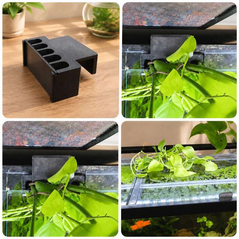 Кронштейн для крепления растен – обзор и цена Aquarium Plant Diseases