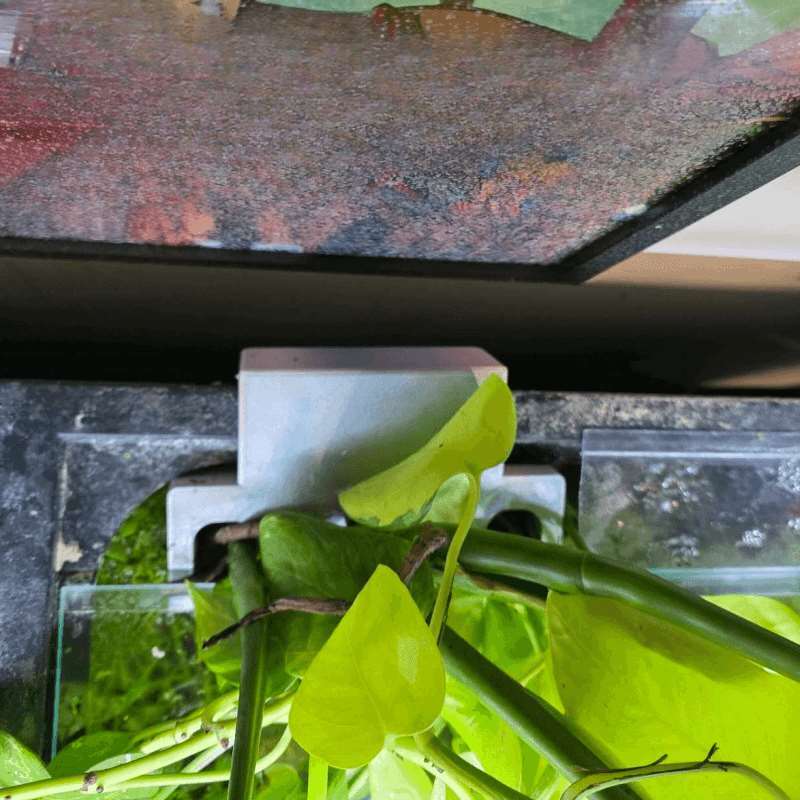 Кронштейн для крепления растен – обзор и цена Aquarium Plant Diseases