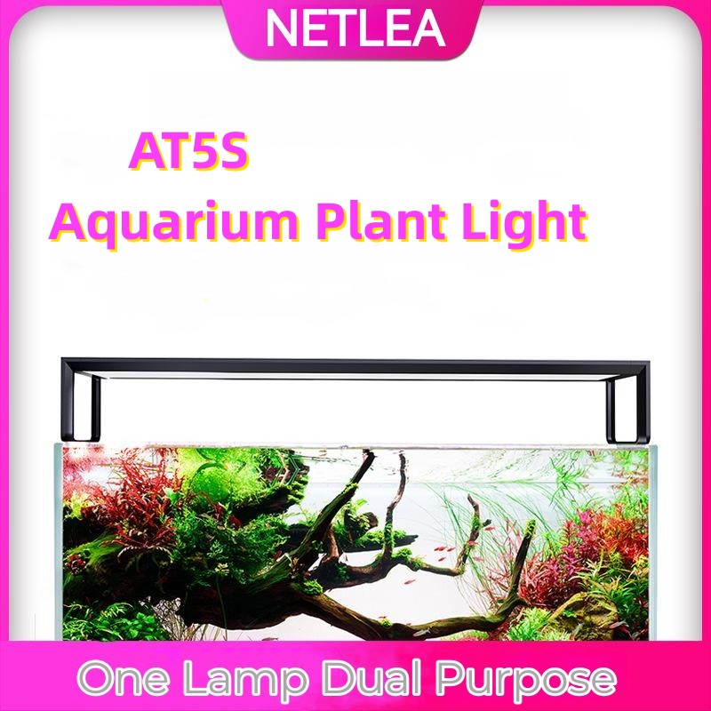 NETLEA 540S/590S аквариум полн – обзор и цена Aquarium Plant Diseases