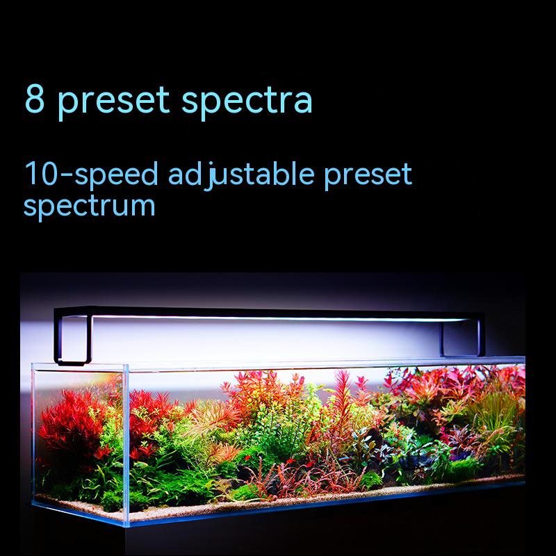NETLEA 540S/590S аквариум полн – обзор и цена Aquarium Plant Diseases