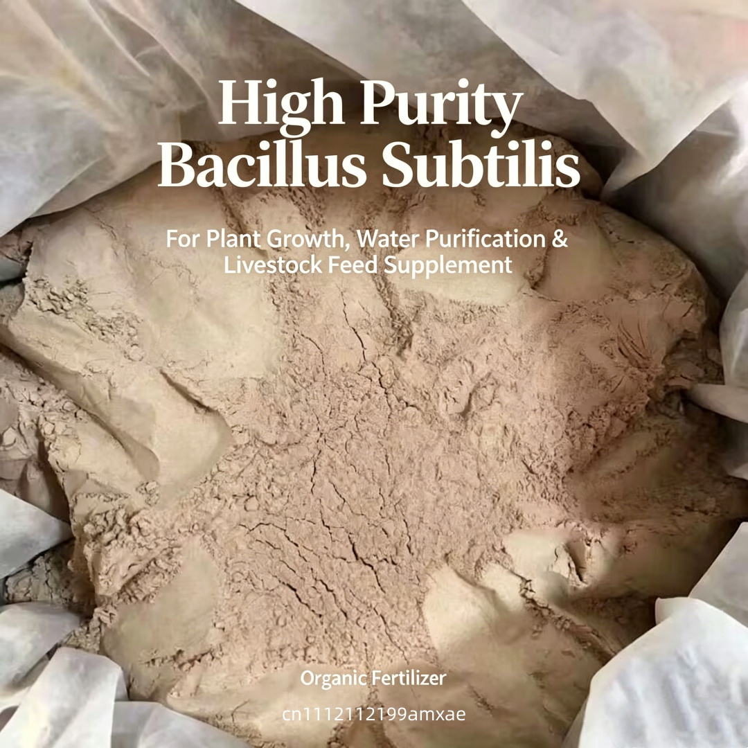 Высокоактивный порошок Bacillu – обзор и цена Aquarium Plant Fertilizer
