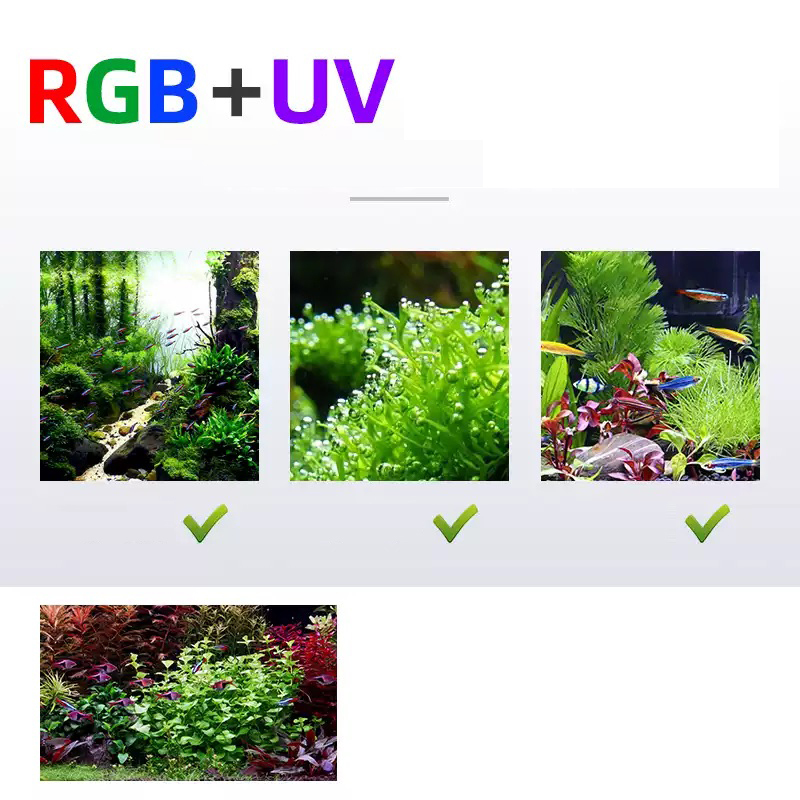 Светодиодное освещение 60 см 8 – обзор и цена Planted Aquarium For Sale