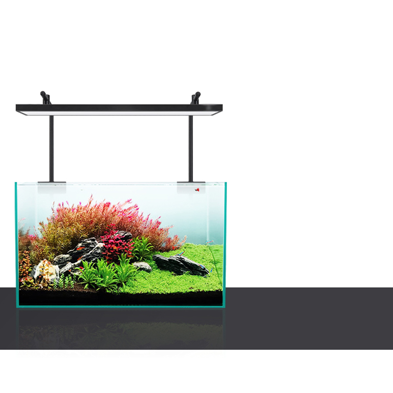 Светодиодное освещение 60 см 8 – обзор и цена Planted Aquarium For Sale