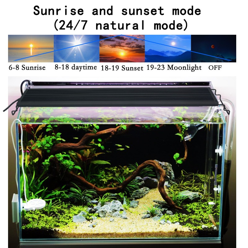 Светодиодный светильник для ак – обзор и цена Led Planted Tank Light