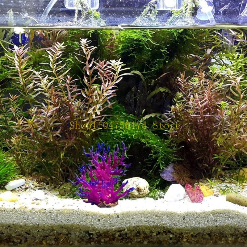 Искусственное дерево, декорати – обзор и цена Planted Aquarium For Sale