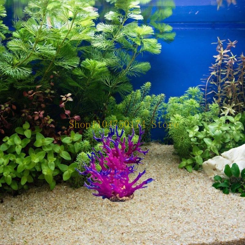 Искусственное дерево, декорати – обзор и цена Planted Aquarium For Sale