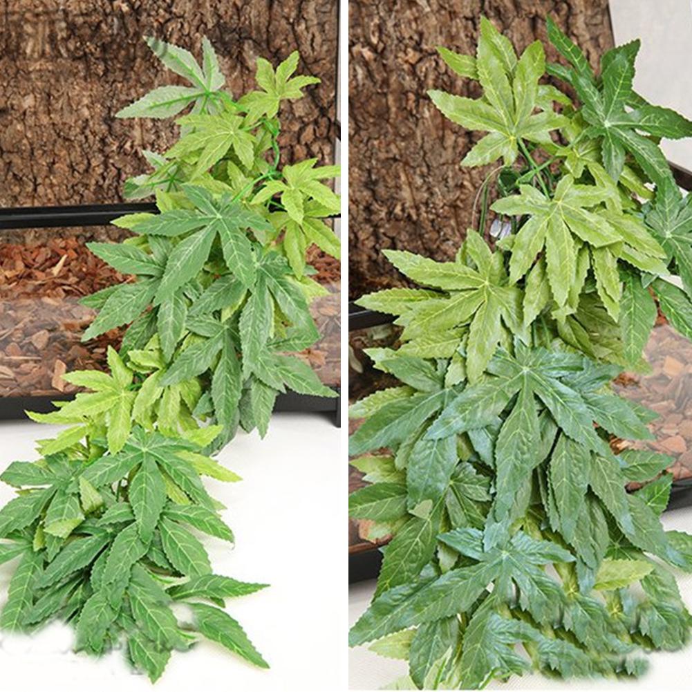ГОРЯЧАЯ ПРОДАЖА 30/40/50 см ак – обзор и цена Planted Aquarium For Sale