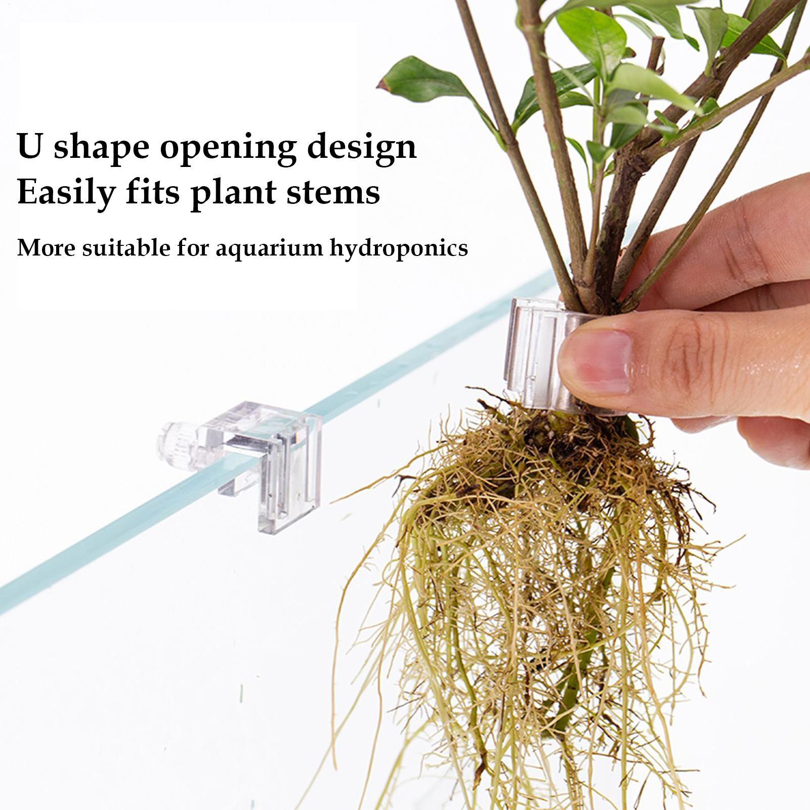 Держатели для растений в аквар – обзор и цена Aquarium Plant Diseases