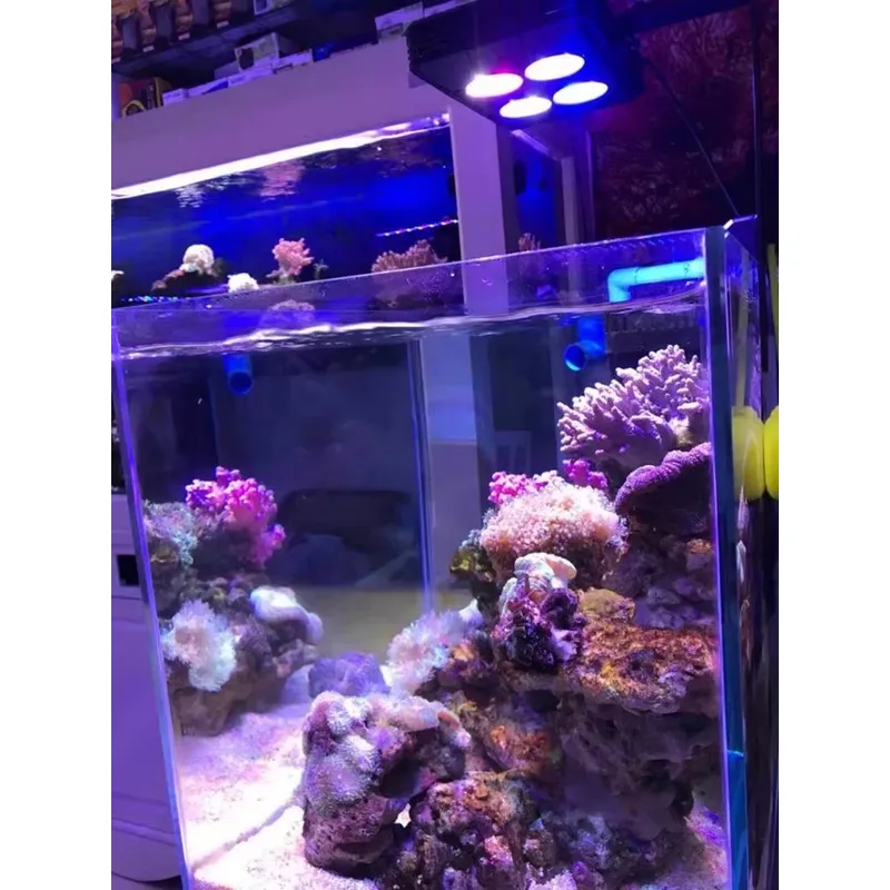 Gako A052 52W: Хит продаж – св – обзор и цена Planted Aquarium For Sale