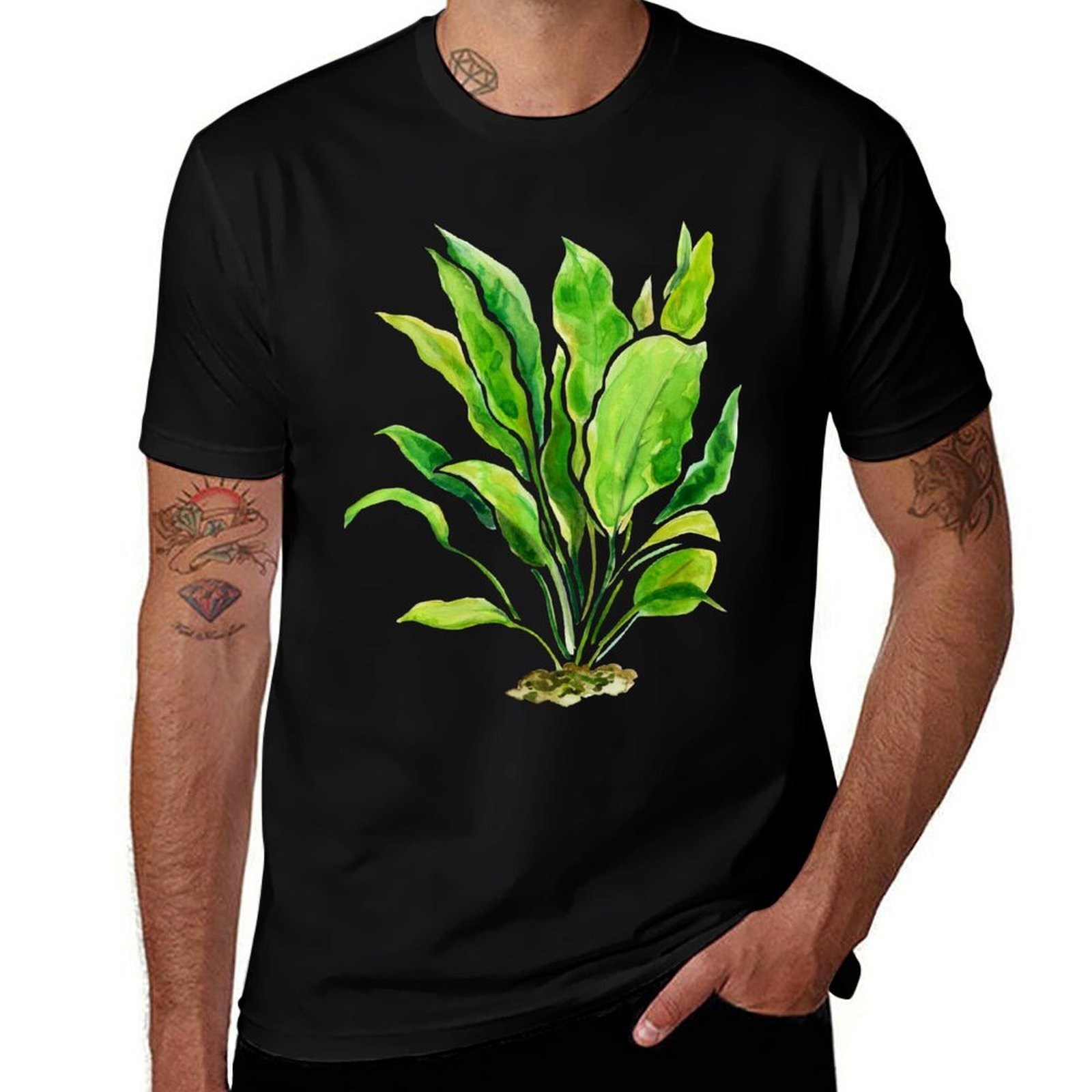 Футболка серии Aquarium Plants – обзор и цена Planted Aquarium Basics
